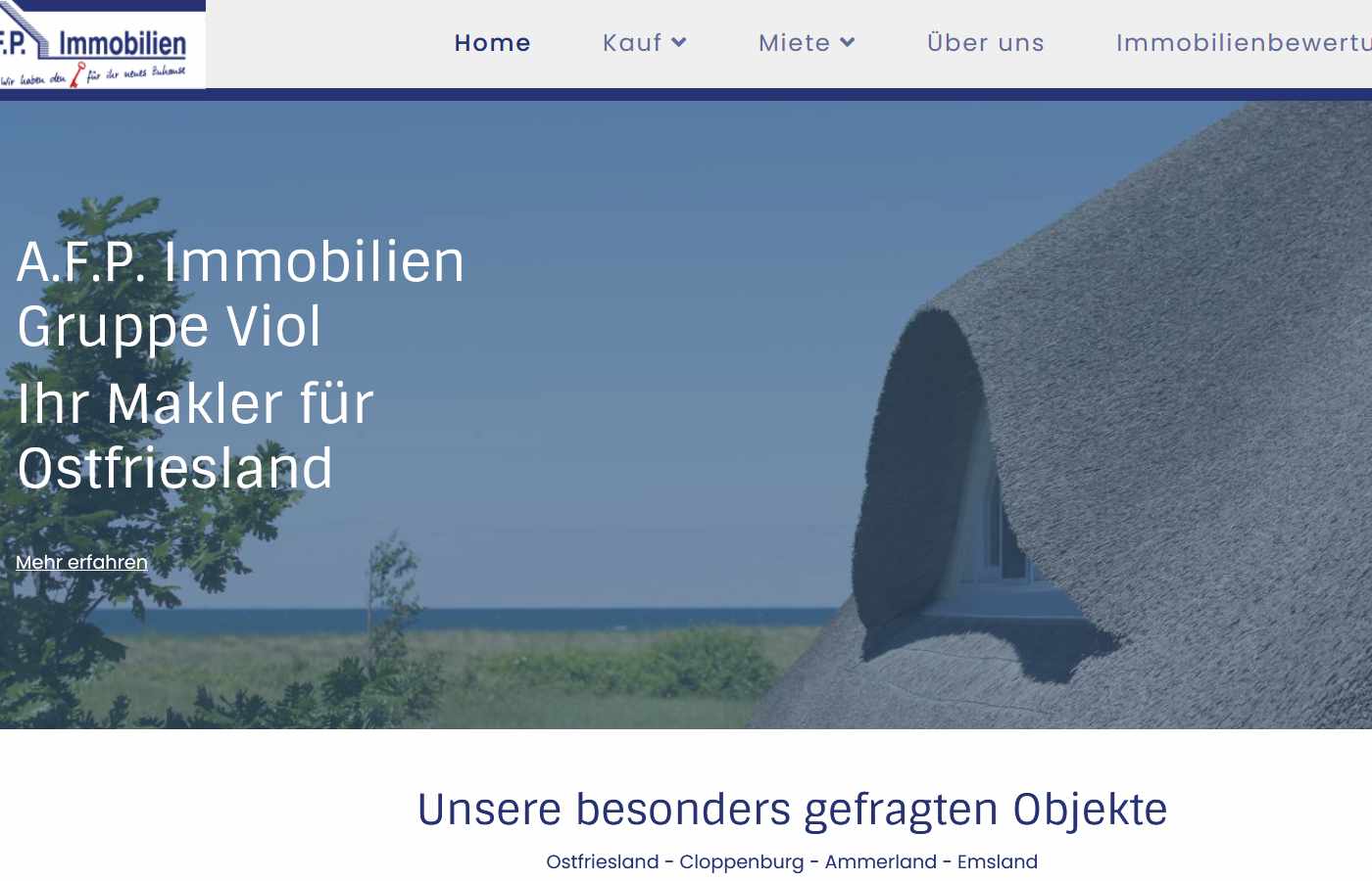 Startseite vom A.F.P. Immobilien Gruppe Viol